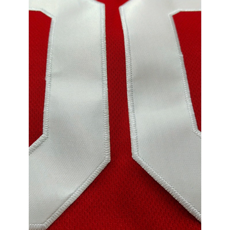 Basketball-Trikot mit individu – Embroidery Name Bewertung und Preis