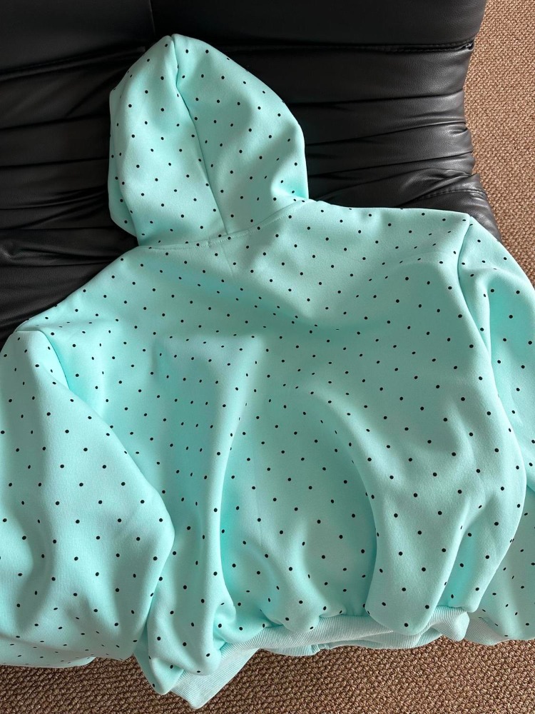 Y2K Neue Frühjahrsmode Amerika – Embroidery Zip Up Hoodie Bewertung und Preis